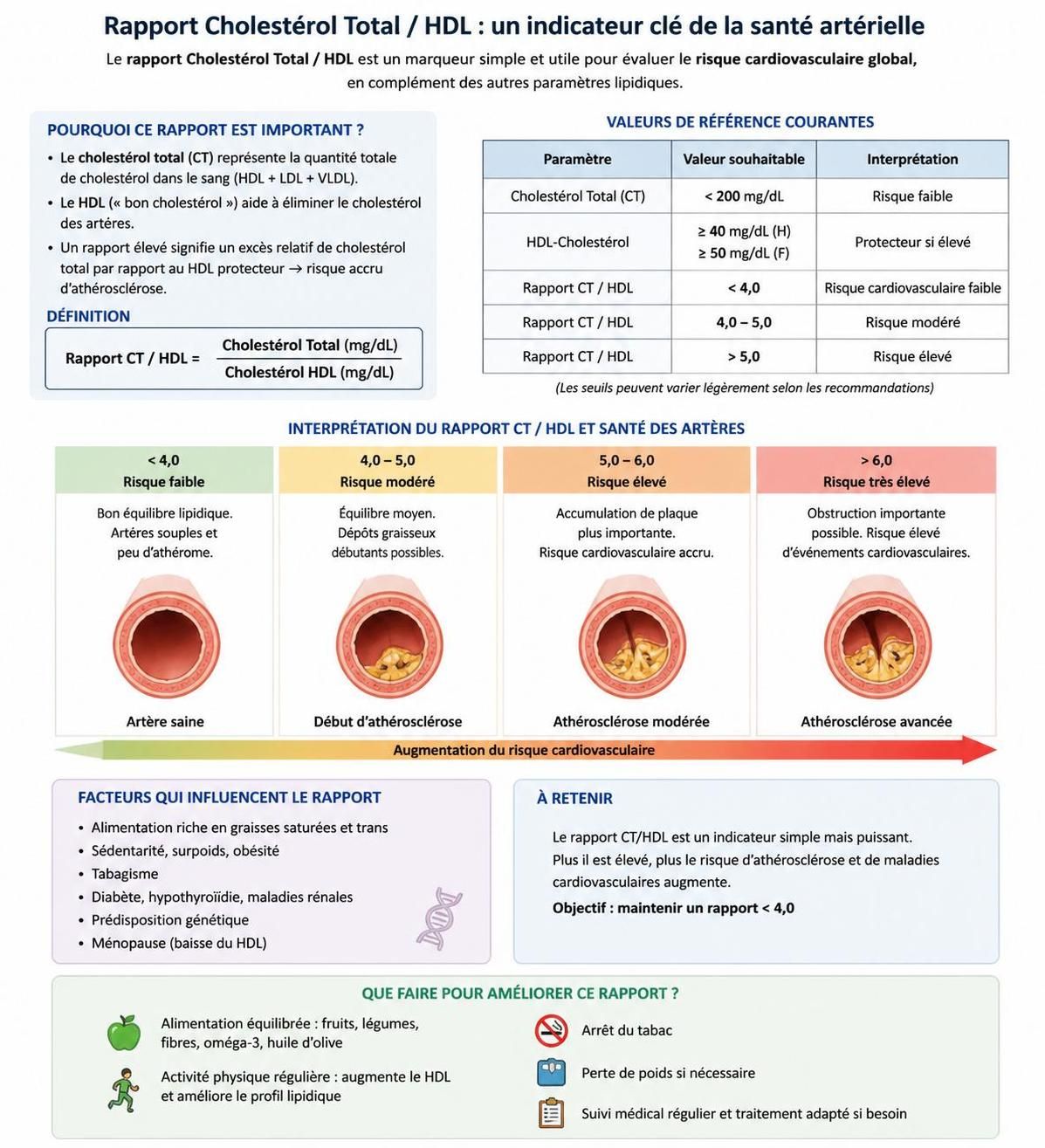 découvrez pourquoi le ratio cholestérol total/hdl est un indicateur clé pour évaluer votre risque cardiovasculaire et adopter des mesures préventives efficaces.